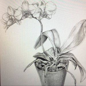 Meet your Posher, Sofia